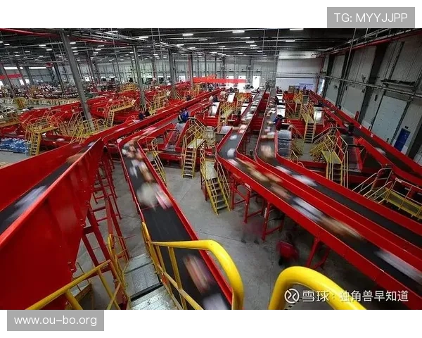 欧博官方赞助背后隐藏的合作策略与未来发展方向